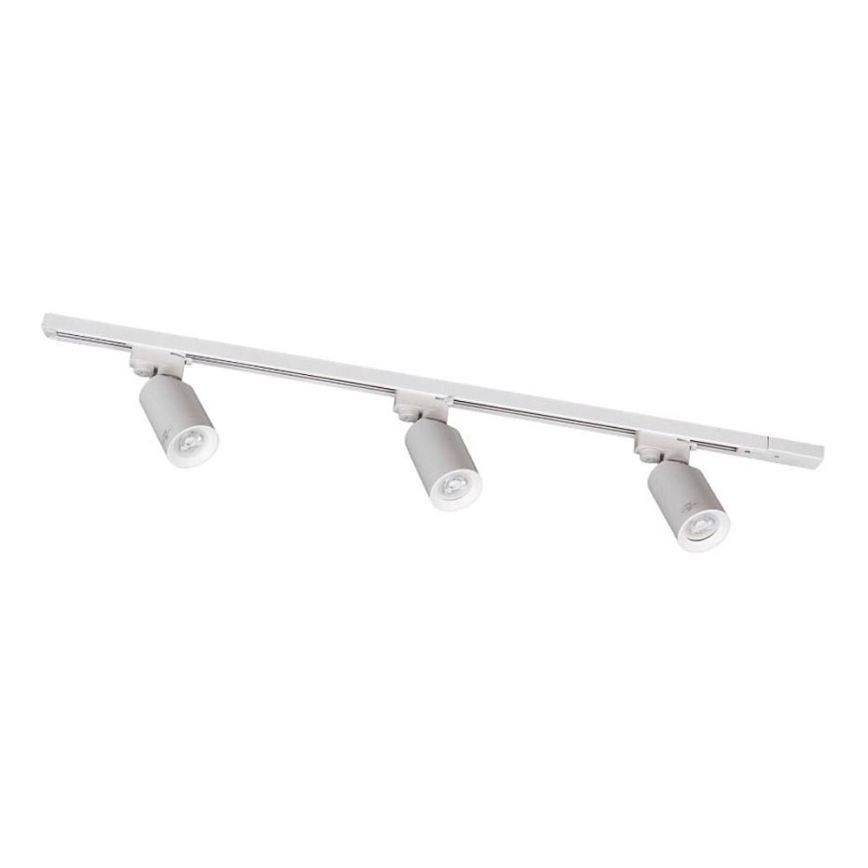 Zuma Line - Спот светлина в системата 3xGU10/35W/230V бял