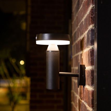 Zuma Line - LED соларен стенен фенер с датчик за движение и здрач LED/4,5W/2000 mAh IP44 черен