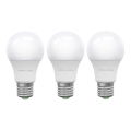 К-кт 3x LED Крушка ECOLINE A60 E27/15W/230V 6500K - Brilagi