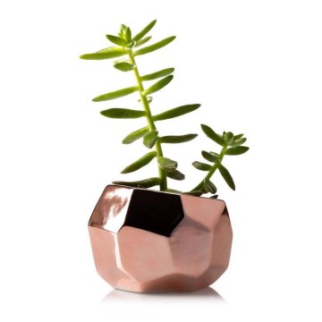 Керамична саксия DORIS 8x11 см розовозлатиста