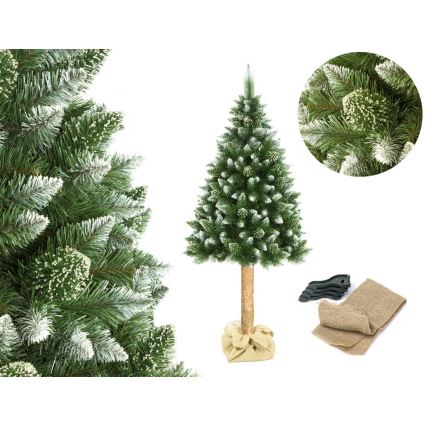 Коледна елха на стъбло 180 см борова дървесина