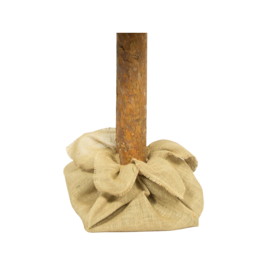 Коледна елха на стъбло 180 см борова дървесина