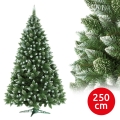 Коледна елха 250 см борова