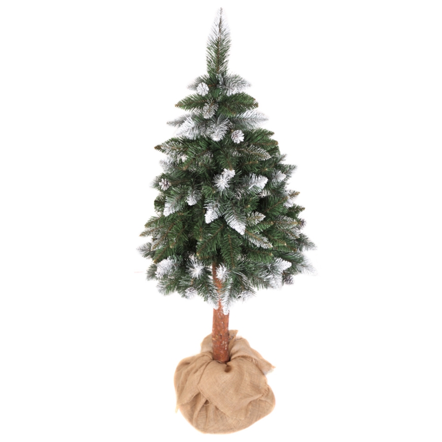 Коледна елха PIN 180 cm бор