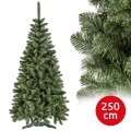 Коледна елха POLA 250 см, борова