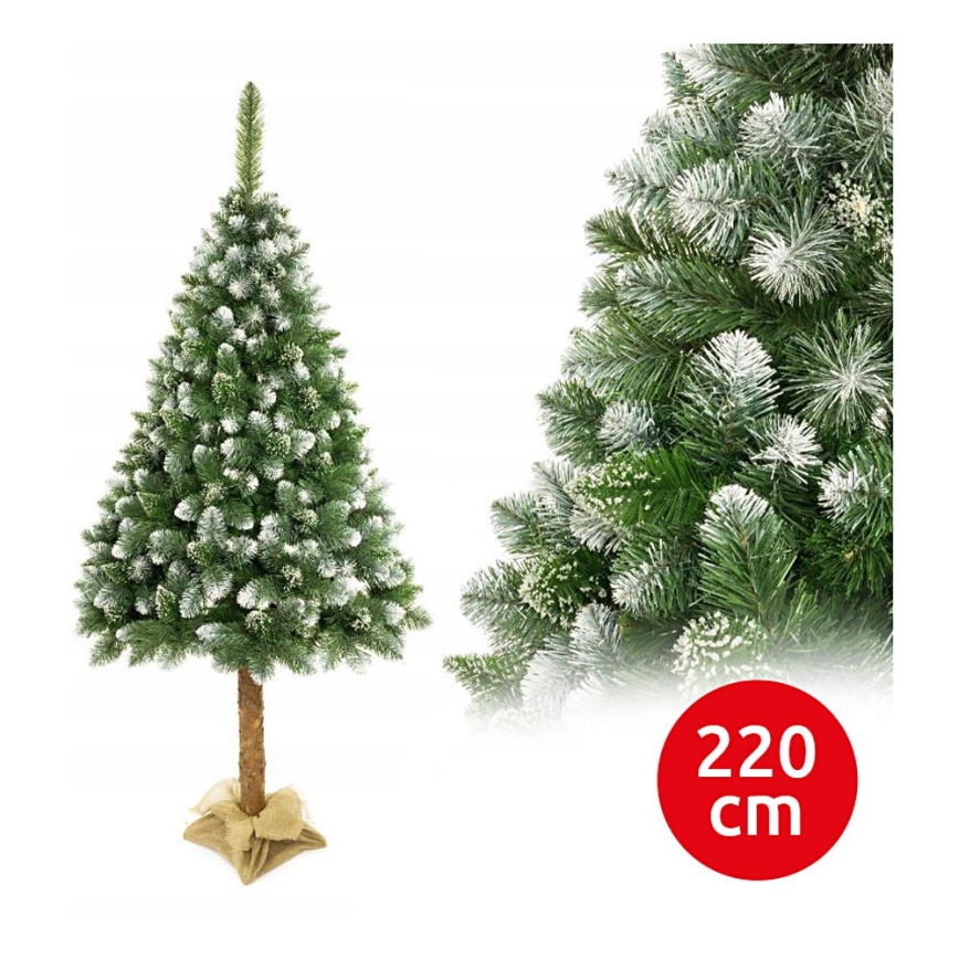 Коледна елха с дънер 220 см бор