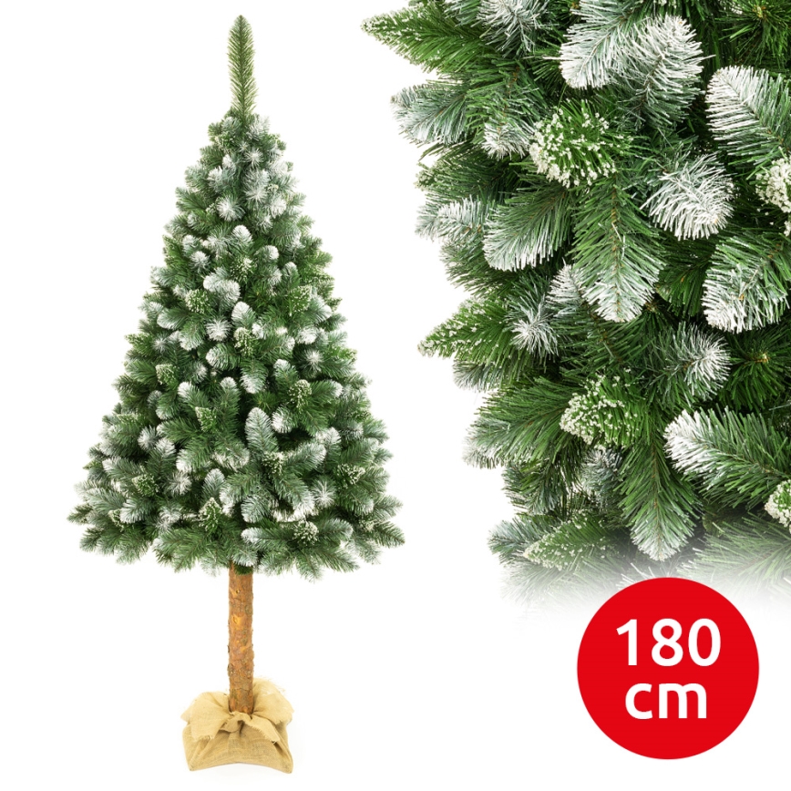Коледна елха със стебло 180 см бор