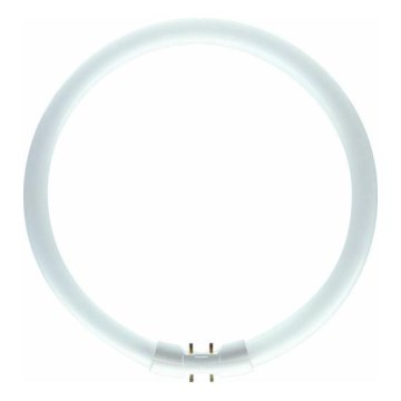 Кръгла флуоресцентна светлина Philips 2GX13/60W/230V - MASTER TL5