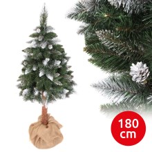 Коледна елха PIN 180 cm бор