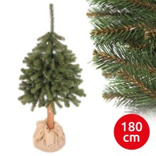 Коледна елха PIN 180 см смърч