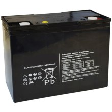 Оловно-киселинна батерия VRLA AGM 12V/20Ah